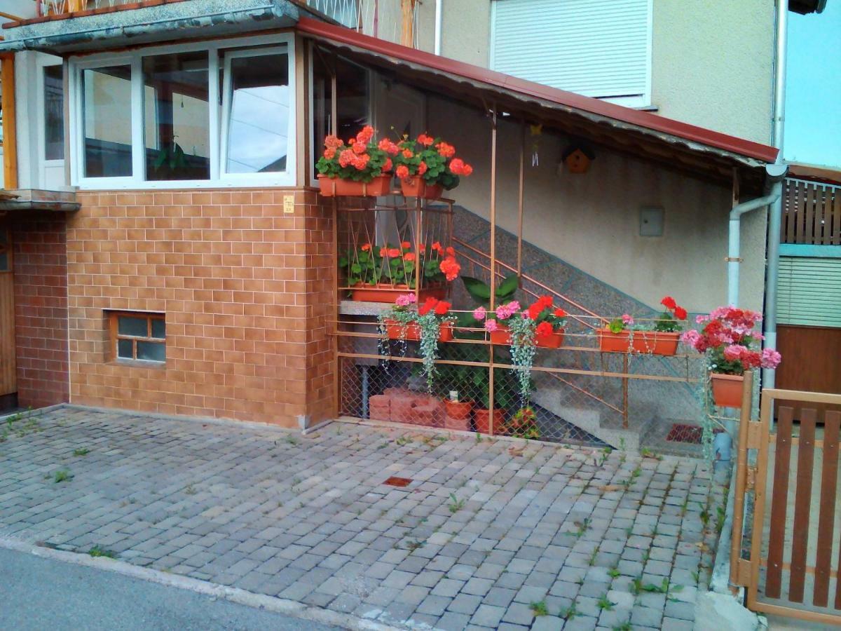 Apartment Janja Vojnik Exterior photo