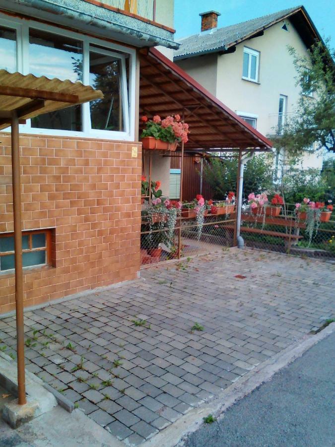 Apartment Janja Vojnik Exterior photo